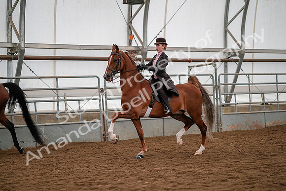 July 19, 2019 - 10503