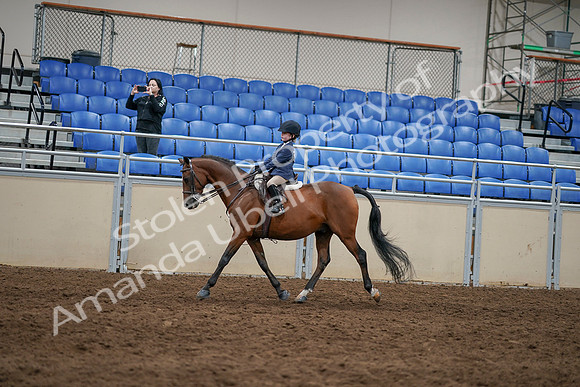 2020 - AB Morgan Horse - Sun, Sept 06 - 07835