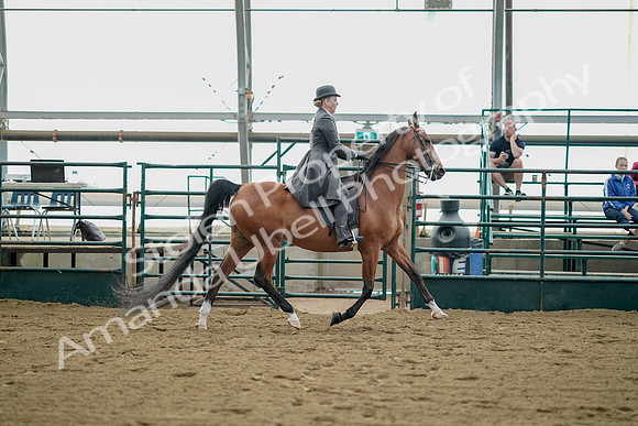 July 21, 2019 - 01835