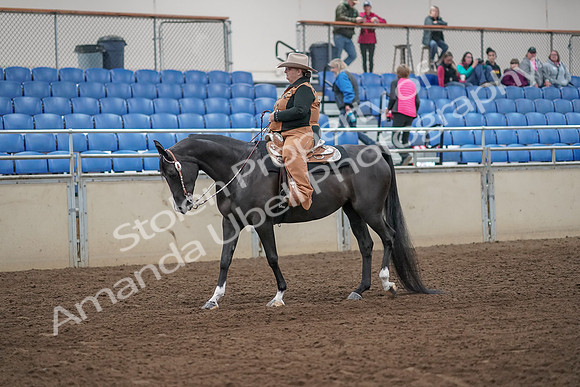 2019 Morgan Horse Show - Aug 31, 2019 - 06127
