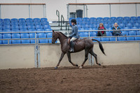 2019 Morgan Horse Show - Aug 31, 2019 - 16510