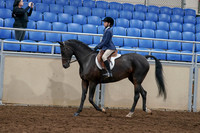 2020 - AB Morgan Horse - Sun, Sept 06 - 07674