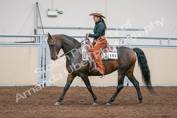 2020 - AB Morgan Horse - Sun, Sept 06 - 01567
