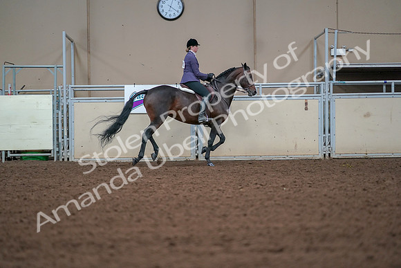2019 Morgan Horse Show - Aug 30, 2019 - 20962