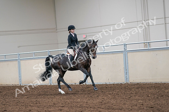 2020 - AB Morgan Horse - Fri, Sept 04 - 02113