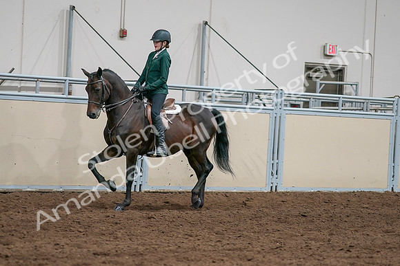 2020 - AB Morgan Horse - Sat, Sept 05 - 05032