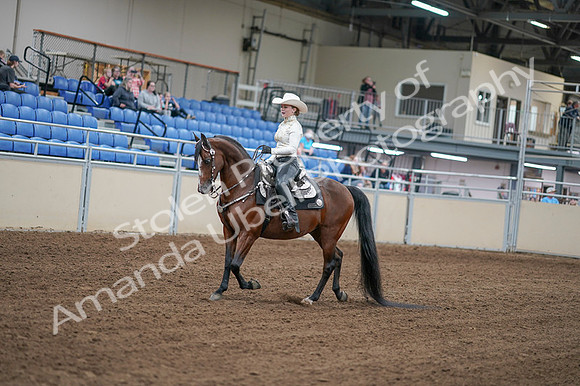 2020 - AB Morgan Horse - Fri, Sept 04 - 08258