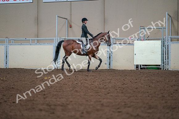 2019 Morgan Horse Show - Aug 30, 2019 - 20853