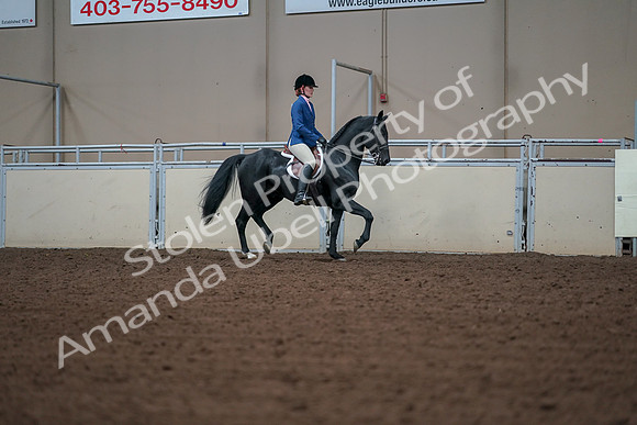 2019 Morgan Horse Show - Aug 30, 2019 - 18559