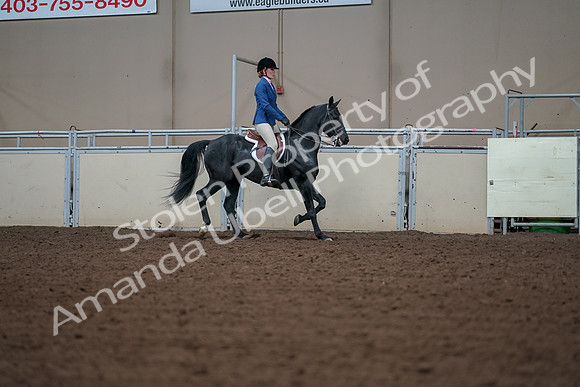 2019 Morgan Horse Show - Aug 30, 2019 - 18564