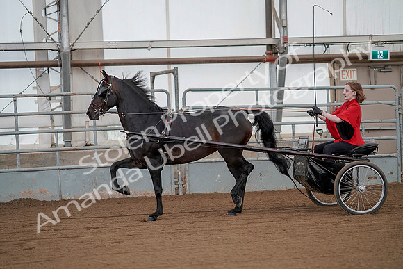 July 20, 2019 - 00137