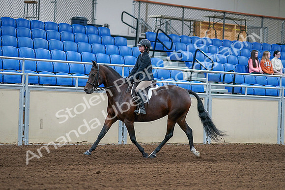 2020 - AB Morgan Horse - Fri, Sept 04 - 01502