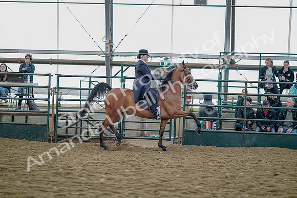 July 20, 2019 - 13956