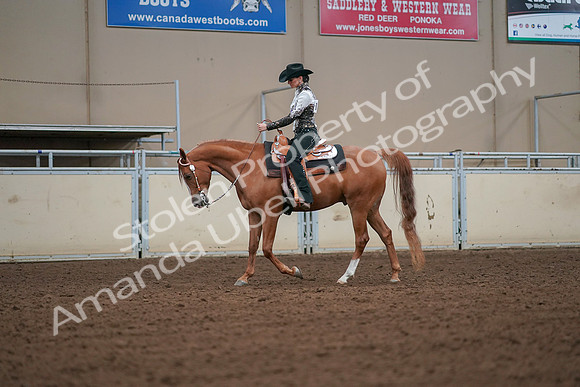 2019 Morgan Horse Show - Aug 30, 2019 - 16780