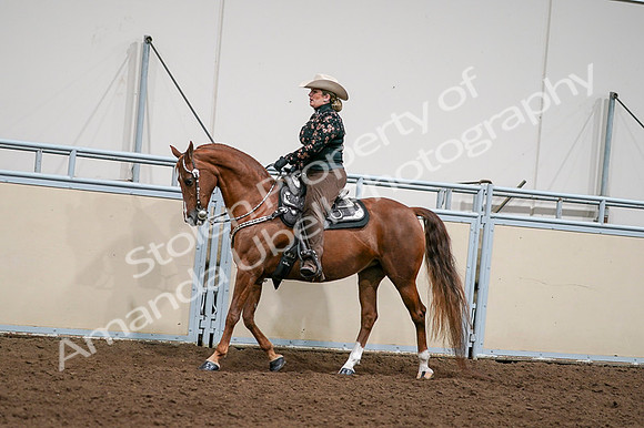 2020 - AB Morgan Horse - Fri, Sept 04 - 08427