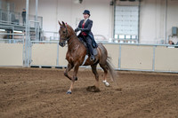 2020 - AB Morgan Horse - Sat, Sept 05 - 06036