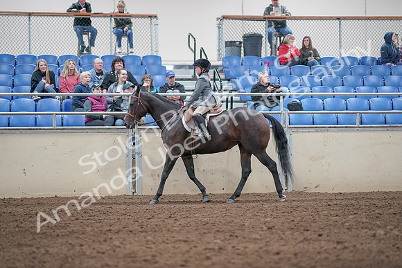 2019 Morgan Horse Show - Aug 31, 2019 - 19455