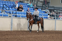 2020 - AB Morgan Horse - Fri, Sept 04 - 05693
