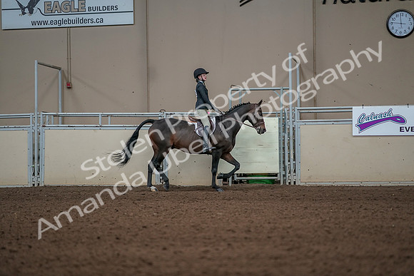 2019 Morgan Horse Show - Aug 31, 2019 - 05160