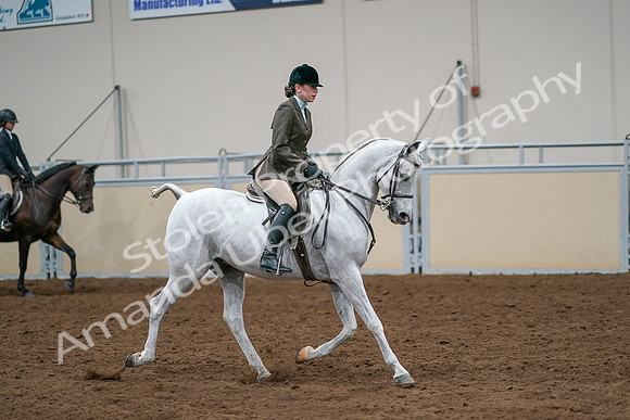2020 - AB Morgan Horse - Sat, Sept 05 - 14530