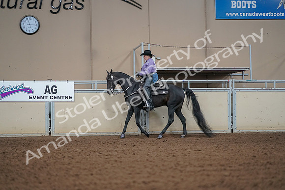 2019 Morgan Horse Show - Aug 30, 2019 - 16825