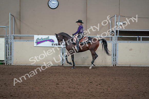 2019 Morgan Horse Show - Aug 31, 2019 - 10599