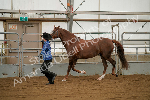 July 19, 2019 - 1291