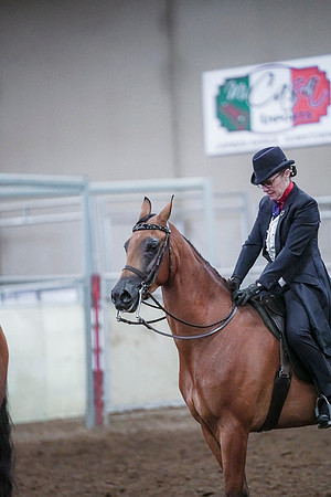 Spring Fling - Saturday - April 20, 2019  -  00846