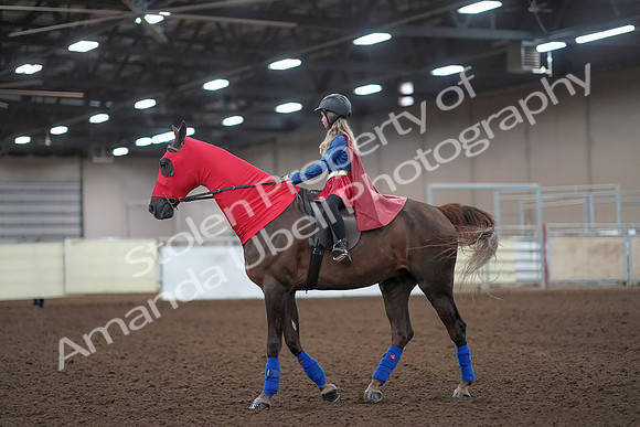 2019 Morgan Horse Show - Aug 31, 2019 - 10073