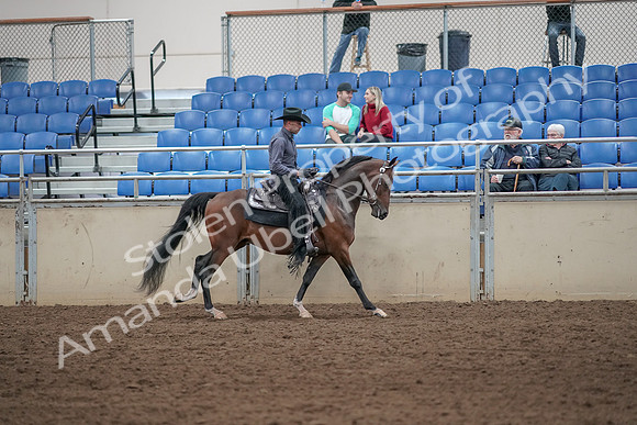 2019 Morgan Horse Show - Aug 31, 2019 - 06143