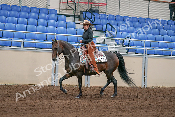 2020 - AB Morgan Horse - Sun, Sept 06 - 01605