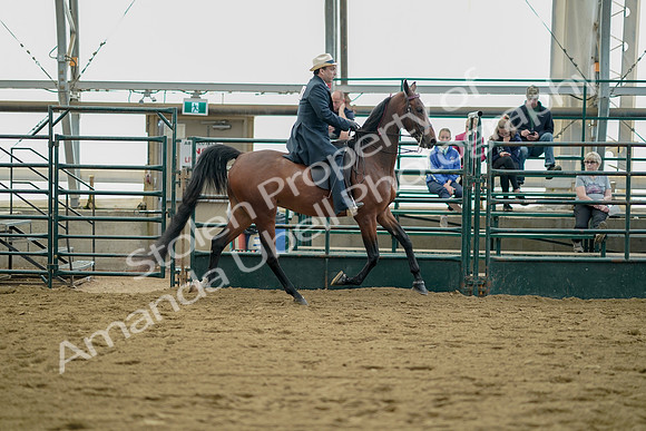 July 21, 2019 - 01740