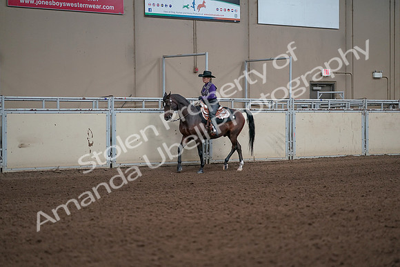 2019 Morgan Horse Show - Aug 31, 2019 - 10580