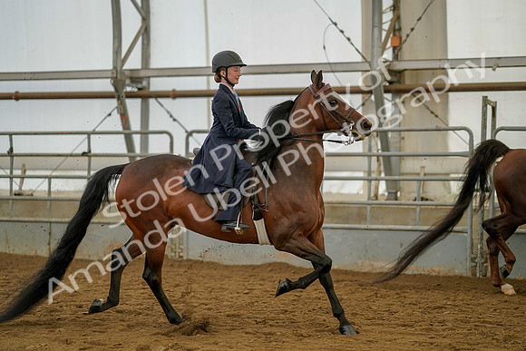 July 20, 2019 - 03826