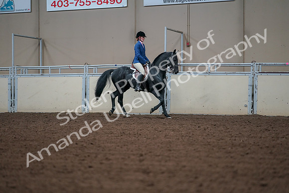 2019 Morgan Horse Show - Aug 30, 2019 - 18557
