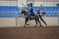 2019 Morgan Horse Show - Aug 30, 2019 - 15300