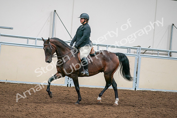 2020 - AB Morgan Horse - Sat, Sept 05 - 09332