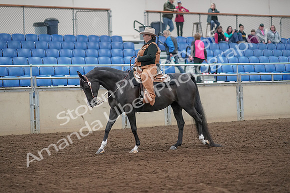 2019 Morgan Horse Show - Aug 31, 2019 - 06125