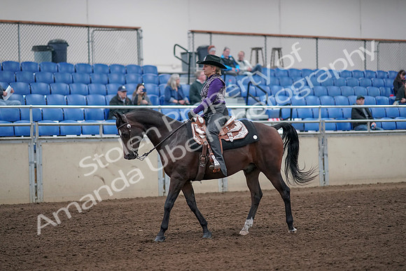 2019 Morgan Horse Show - Aug 31, 2019 - 10534