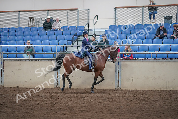 2019 Morgan Horse Show - Aug 31, 2019 - 09685
