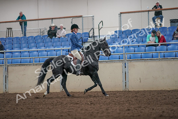 2019 Morgan Horse Show - Aug 31, 2019 - 07470