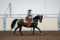 2020 - AB Morgan Horse - Fri, Sept 04 - 00417