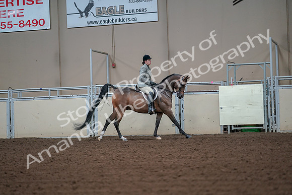 2019 Morgan Horse Show - Aug 30, 2019 - 17510