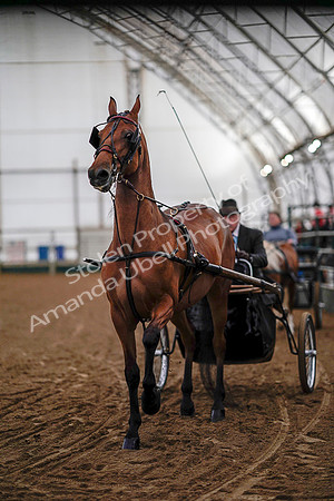 July 19, 2019 - 6752
