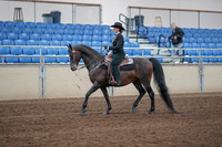 2019 Morgan Horse Show - Sept 01, 2019 - 11190