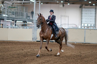 2020 - AB Morgan Horse - Sat, Sept 05 - 06041