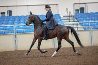 2019 Morgan Horse Show - Aug 30, 2019 - 24304