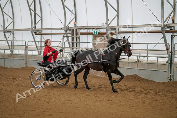 July 20, 2019 - 00219