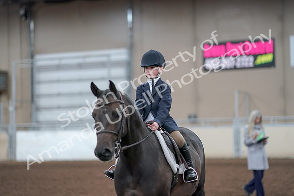 2019 Morgan Horse Show - Aug 31, 2019 - 19707
