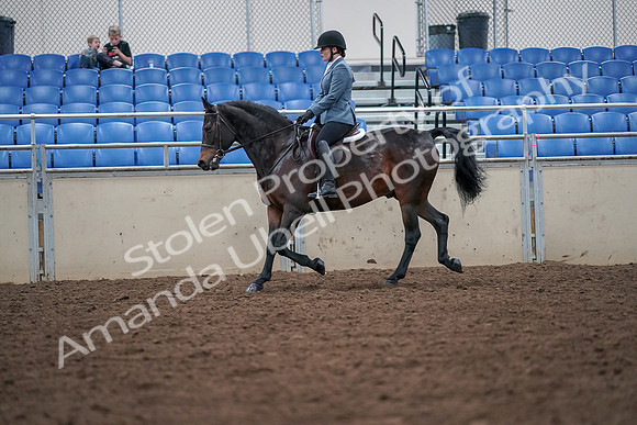 2019 Morgan Horse Show - Aug 30, 2019 - 18423